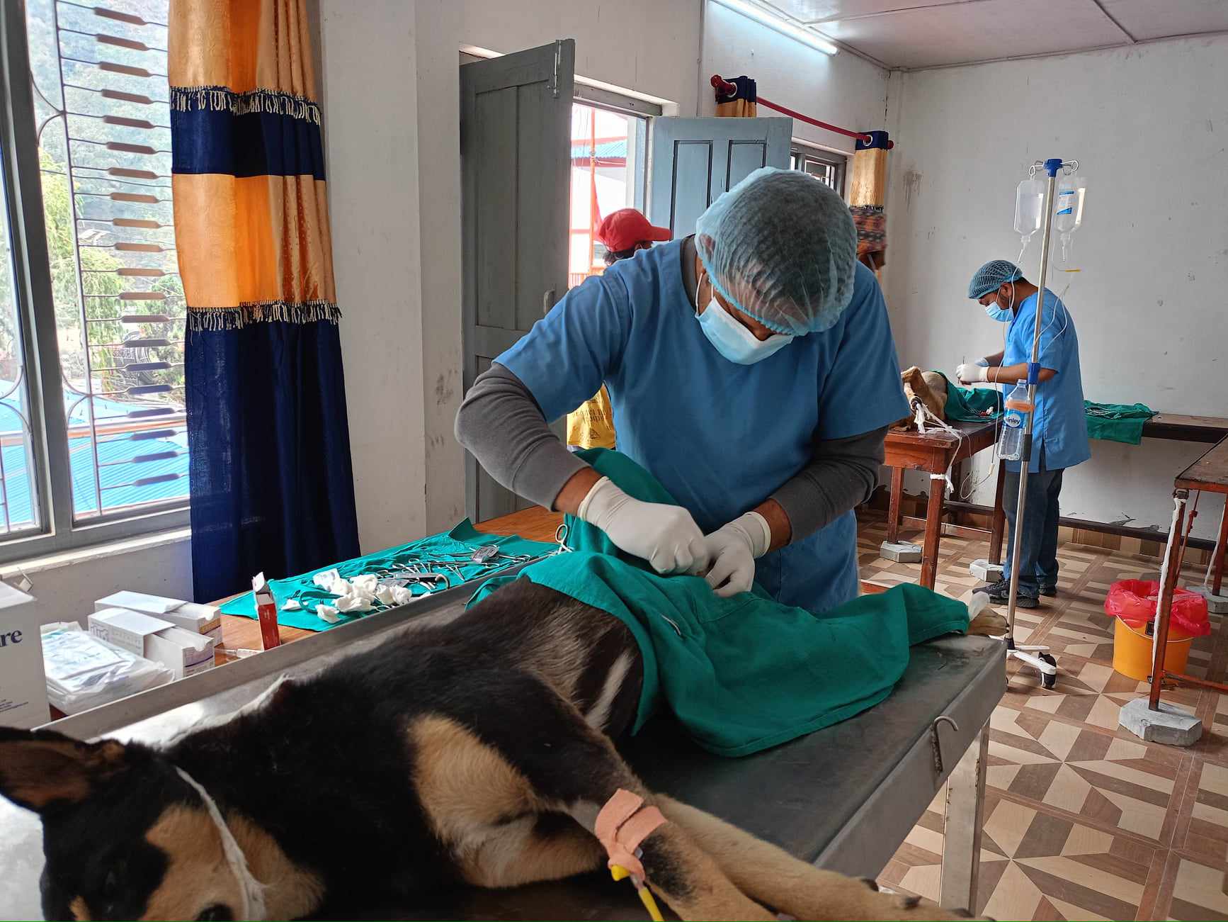 भेटेरीनरी अस्पताल, म्याग्दी र बेनि नगरपालिकाको सहकार्यमा आयोजना गरीएको सामुदायिक तथा घरपालुवा कुकुरको बन्ध्याकरण तथा रेबिज रोग विरुद्दको खोप कार्यक्रम 