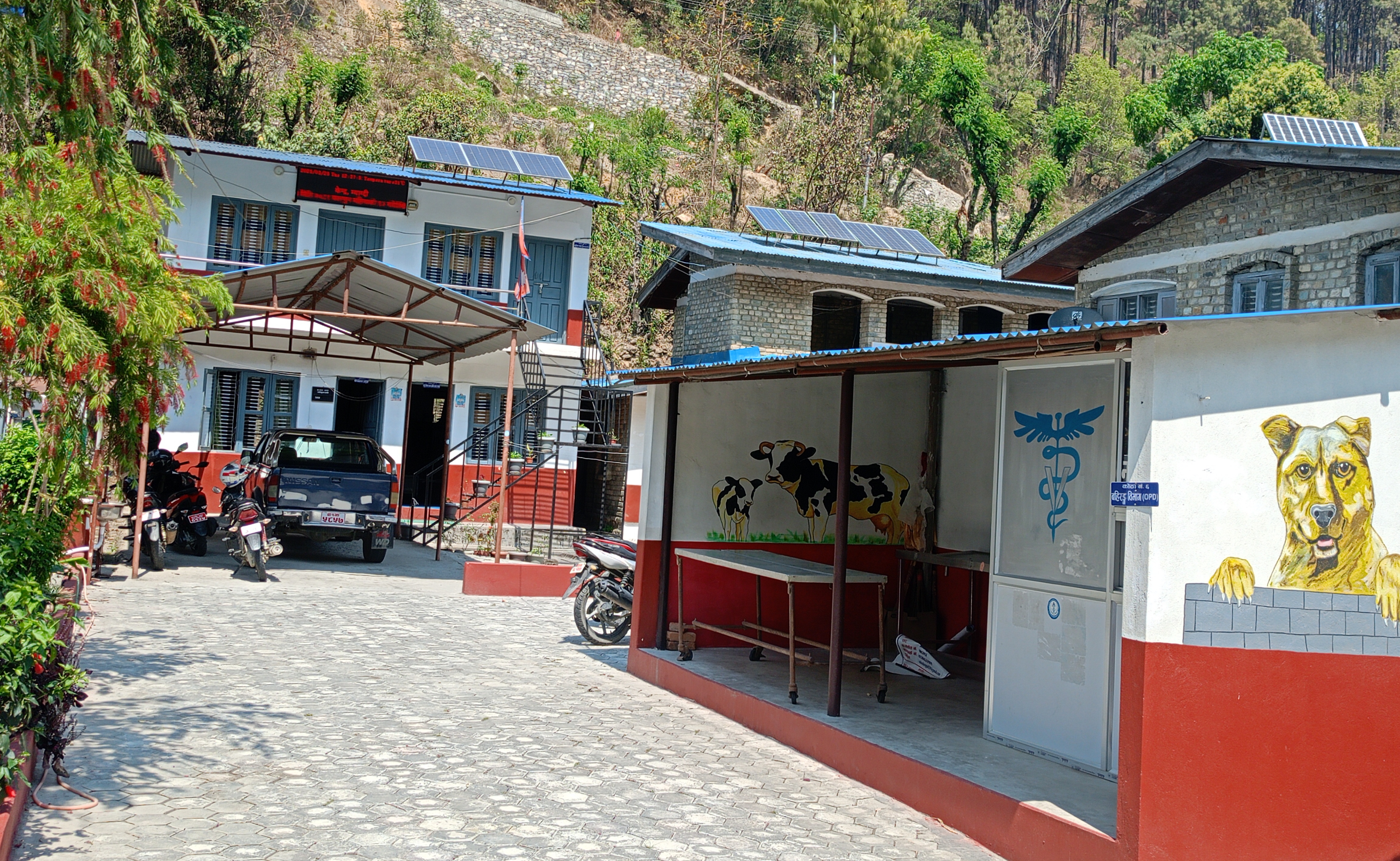 भेटेरीनरी अस्पताल म्याग्दी